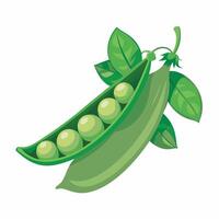 Realistic green peas on white background vector