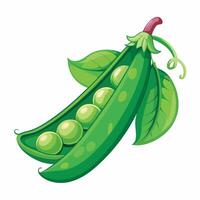 Realistic green peas on white background vector