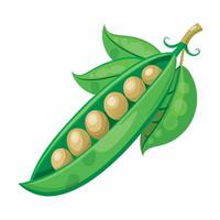 Realistic green peas on white background vector
