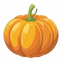 pumpkin on white background vector