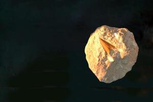 A fossil spinosaur tooth. High quality photo