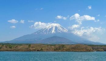 Cherry Blossoms and Snowcapped Mountain View. photo