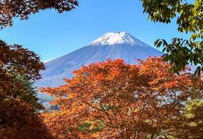 The beautiful Mount Fuji surrounded by autumn leaves. photo