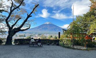 Serene View of Mount Fuji from Park Bench. photo
