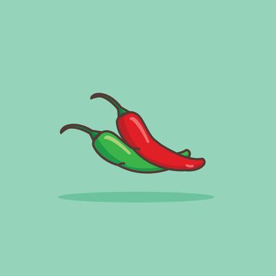 illustration of the chilli spice logo icon, kitchen spice for the cooking industry