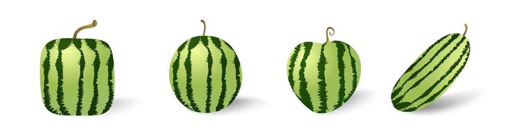 Watermelon set isolated collection with various shapes vector