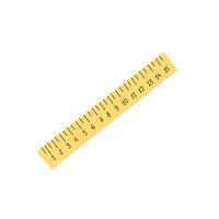 Back to School. School essential illustration. Flat style ruler sketch. vector