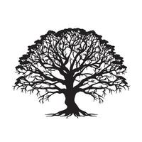 Black silhouette of a banyan isolate which background vector