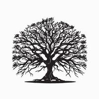 Black silhouette of a banyan isolate which background vector