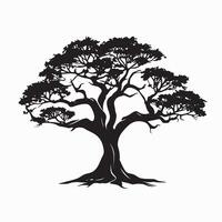 Black silhouette of a banyan isolate which background vector