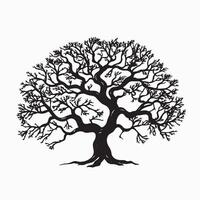 Black silhouette of a banyan isolate which background vector