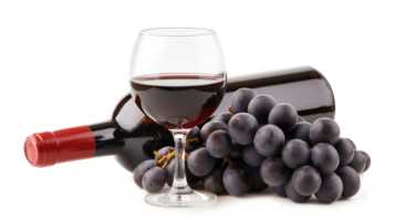 Glass of red wine with a bottle and a cluster of black grapes isolated on a transparent background png