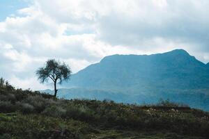 Image of beautiful cloudy mountains in Lao Cai, Vietnam photo