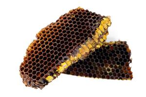 Bee pollen in honeycomb isolates. Bee pollen is a bee product from an apiary. photo