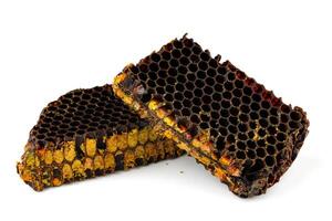 Bee pollen in honeycomb isolates. Bee bread isolated on a white background photo