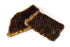 Bee pollen in honeycomb isolates. Bee bread isolated on a white background photo