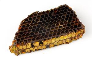 Bee pollen in honeycomb isolates. Bee bread isolated on a white background photo