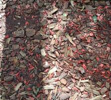 Red-brown rectangular large sawdust in the sun's rays - square photo