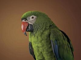 Close-up of a green macaw with a vibrant red beak photo