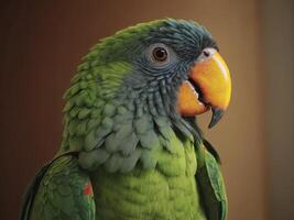 Close-up of a green parrot with an orange beak photo