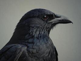 Close-up profile of a black raven with glossy feathers photo