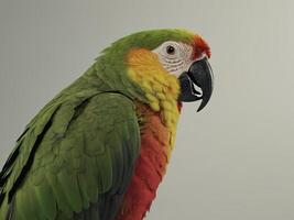 Colorful Macaw Parrot with Vibrant Green, Yellow, and Red Plumage photo
