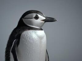 Profile of a young penguin with sleek black and white feathers photo