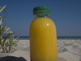 Orange juice in plastic bottle with a green lid stands in the sand on seashore, beside a small green bush. The orange juice bottle is ready for a sunny beach day, adding touch of freshness to scene. photo
