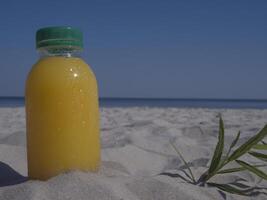 On the seashore, a plastic bottle with orange juice and a green lid stands in the sand next to a small green bush. Orange juice looks refreshing against the beach setting, inviting a tropical vibe. photo