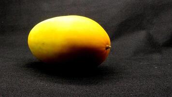 Fresh yellow suri cucumber fruit isolated photo