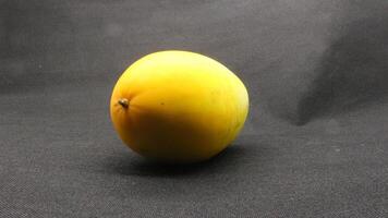 Fresh yellow suri cucumber fruit isolated photo