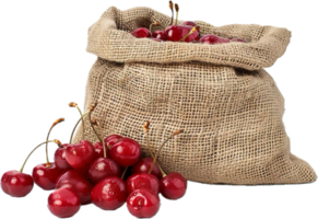 Fresh Red Cherries in Burlap Sacks. png