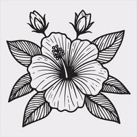 hibiscus flower line art silhouette on white background vector