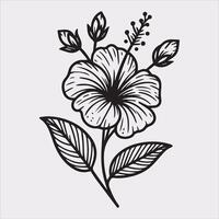 hibiscus flower line art silhouette on white background vector