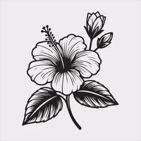 hibiscus flower line art silhouette on white background vector