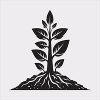 growth tree silhouette on white background vector