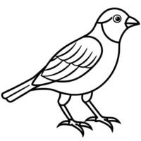 Finch bird walks icon vector