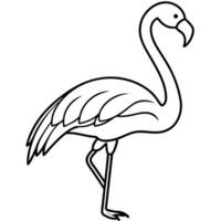Flamingo bird stands icon vector