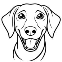 Foxhound dog smiles icon vector