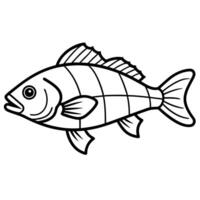 Freshwater Drum fish sits icon vector
