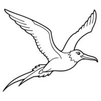 Frigatebird bird flies icon vector
