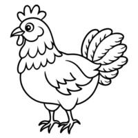 Frizzle Chicken stands icon vector