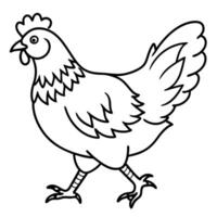 Frizzle Chicken walks icon vector