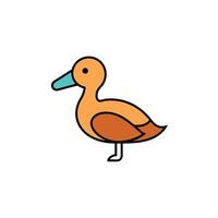 Fulvous Whistling Duck learns icon vector