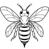 Furniture Beetle bug learns icon vector