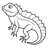 Galapagos Gecko lizard sits icon vector