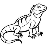 Galapagos Lava Lizard stands icon vector
