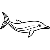Galapagos Minke Whale fish stands icon vector