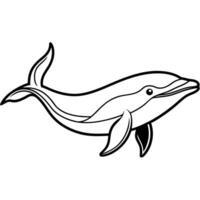 Galapagos Minke Whale fish walks icon vector