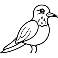 Galapagos Mockingbird bird learns icon vector